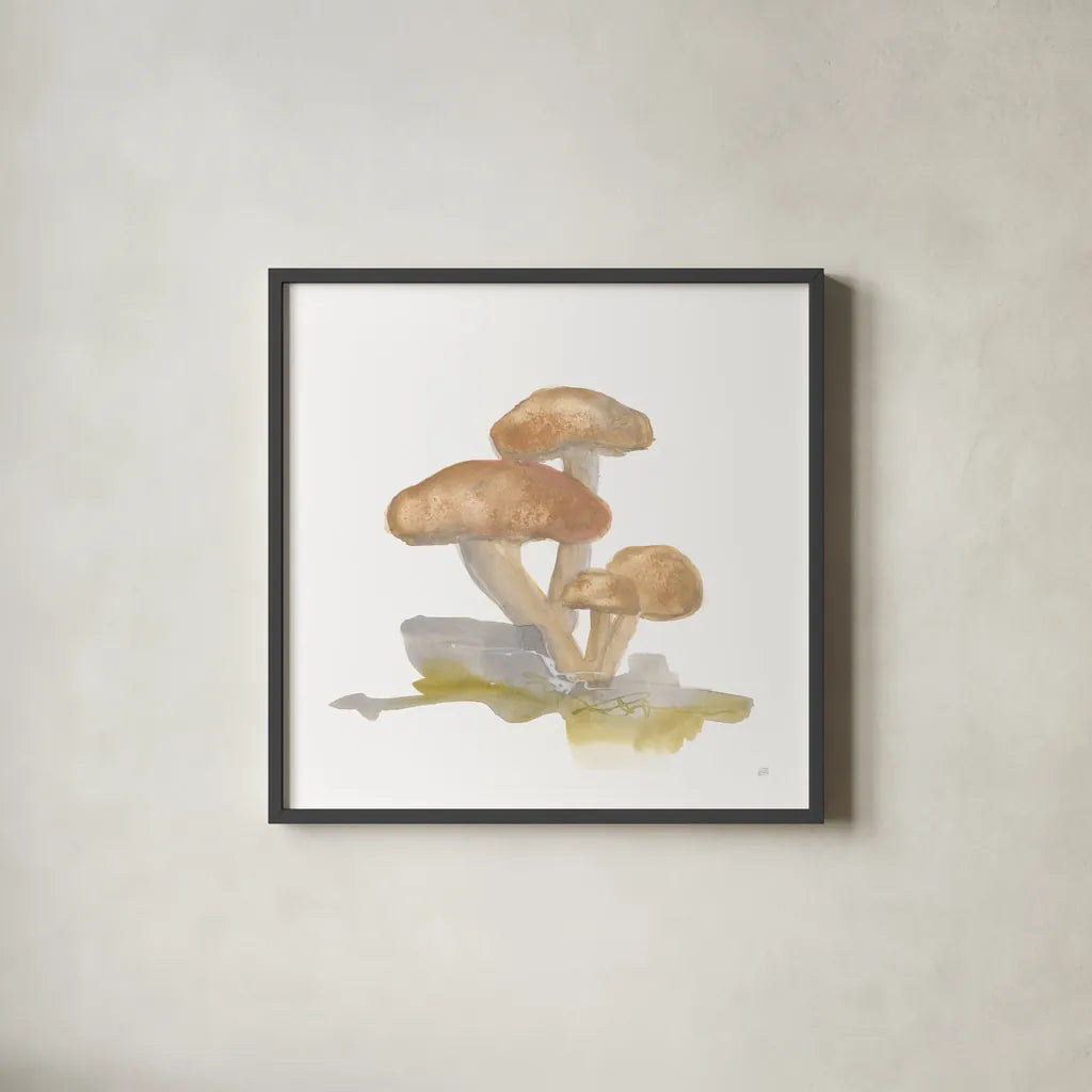 Mellow Mushrooms IV by Chris Paschke. Shown in a sleek black glass frame for a contemporary gallery look. Available as an archival giclee rolled canvas, fine art paper, or poster print. SKU 84542a.