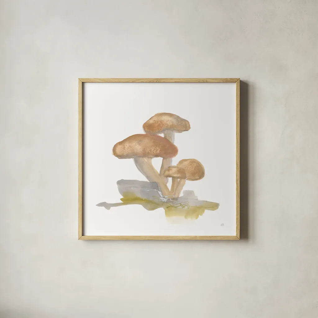 Mellow Mushrooms IV by Chris Paschke. Shown in a natural wood glass frame for a timeless modern aesthetic. Available as an archival giclee rolled canvas, fine art paper, or poster print. SKU 84542a.