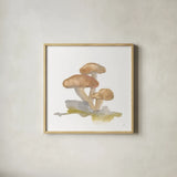 Mellow Mushrooms IV by Chris Paschke. Shown in a natural wood glass frame for a timeless modern aesthetic. Available as an archival giclee rolled canvas, fine art paper, or poster print. SKU 84542a.