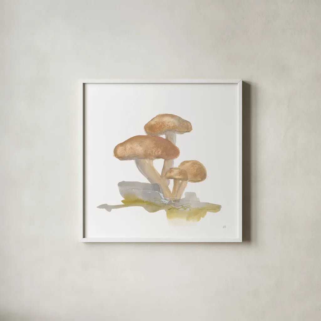 Mellow Mushrooms IV by Chris Paschke. Shown in a crisp white glass frame for a clean and minimalist style. Available as an archival giclee rolled canvas, fine art paper, or poster print. SKU 84542a.