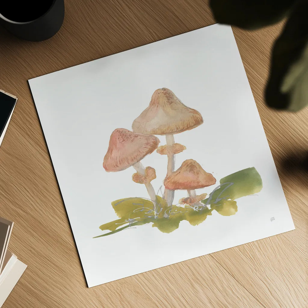 Mellow Mushrooms V by Chris Paschke. Shown as a detailed flat fine art print, highlighting archival giclee quality. Available as an archival giclee rolled canvas, fine art paper, or poster print. SKU 84543a.