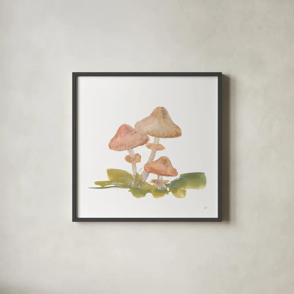 Mellow Mushrooms V by Chris Paschke. Shown in a sleek black glass frame for a contemporary gallery look. Available as an archival giclee rolled canvas, fine art paper, or poster print. SKU 84543a.