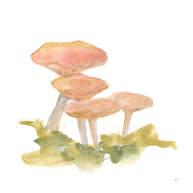 Mellow Mushrooms VI by Chris Paschke. SKU 84544a. Archival Giclee Fine art print for wall decor.