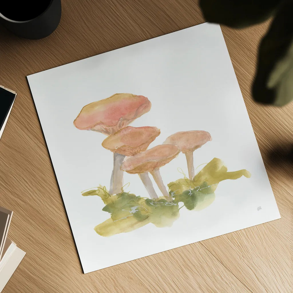 Mellow Mushrooms VI by Chris Paschke. Shown as a detailed flat fine art print, highlighting archival giclee quality. Available as an archival giclee rolled canvas, fine art paper, or poster print. SKU 84544a.