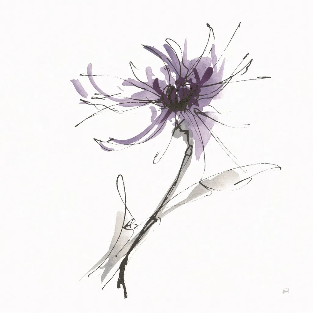 Midnight Mum I by Chris Paschke. SKU 91434a. Archival Giclee Fine art print for wall decor.