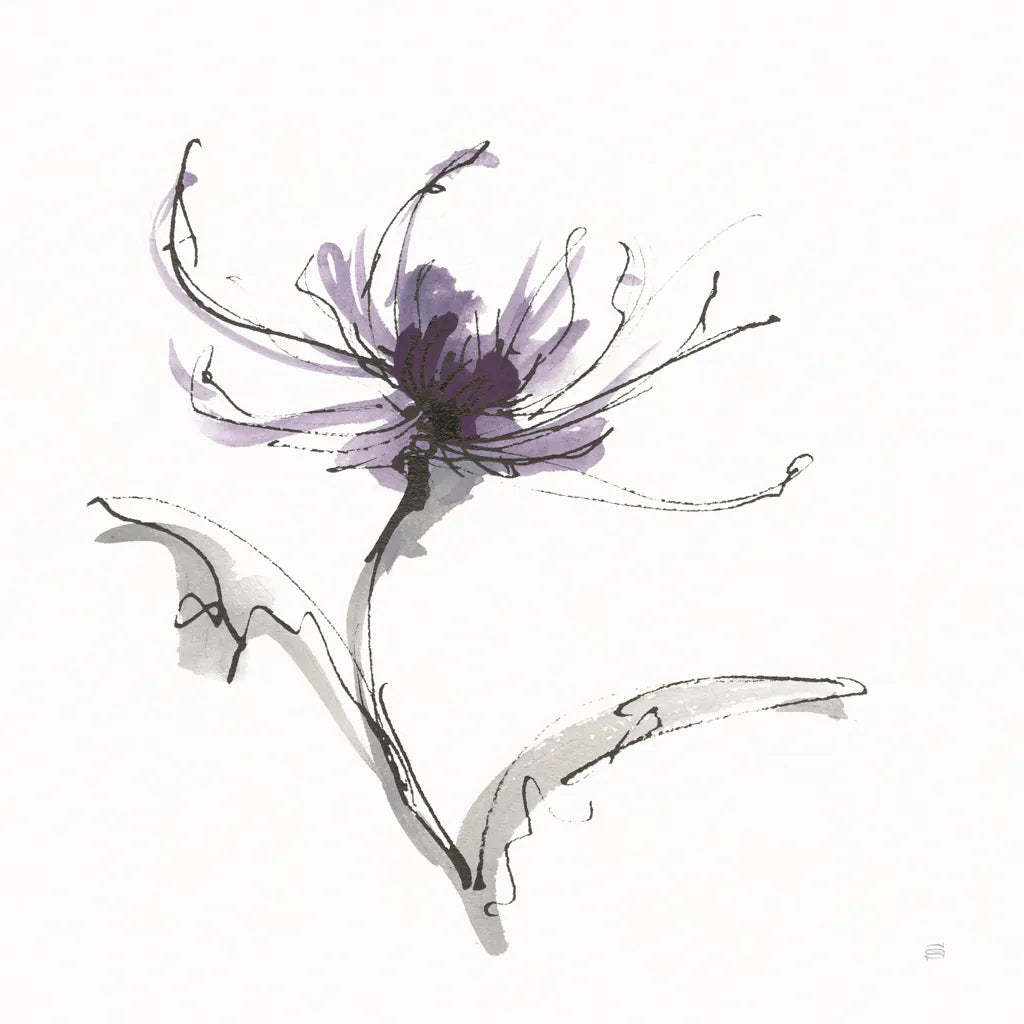 Midnight Mum II by Chris Paschke. SKU 91435a. Archival Giclee Fine art print for wall decor.