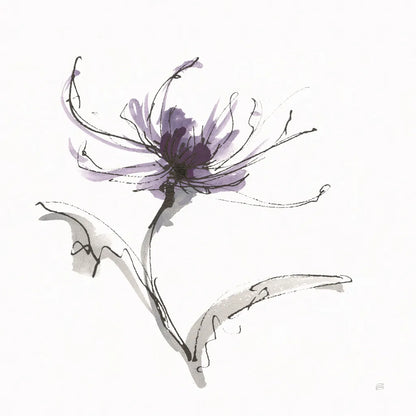 Midnight Mum II by Chris Paschke. SKU 91435a. Archival Giclee Fine art print for wall decor.