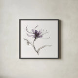 Midnight Mum II by Chris Paschke. Shown in a sleek black glass frame for a contemporary gallery look. Available as an archival giclee rolled canvas, fine art paper, or poster print. SKU 91435a.