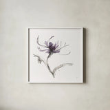 Midnight Mum II by Chris Paschke. Shown in a crisp white glass frame for a clean and minimalist style. Available as an archival giclee rolled canvas, fine art paper, or poster print. SKU 91435a.