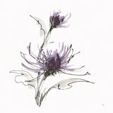 Midnight Mum III by Chris Paschke. SKU 91436a. Archival Giclee Fine art print for wall decor.