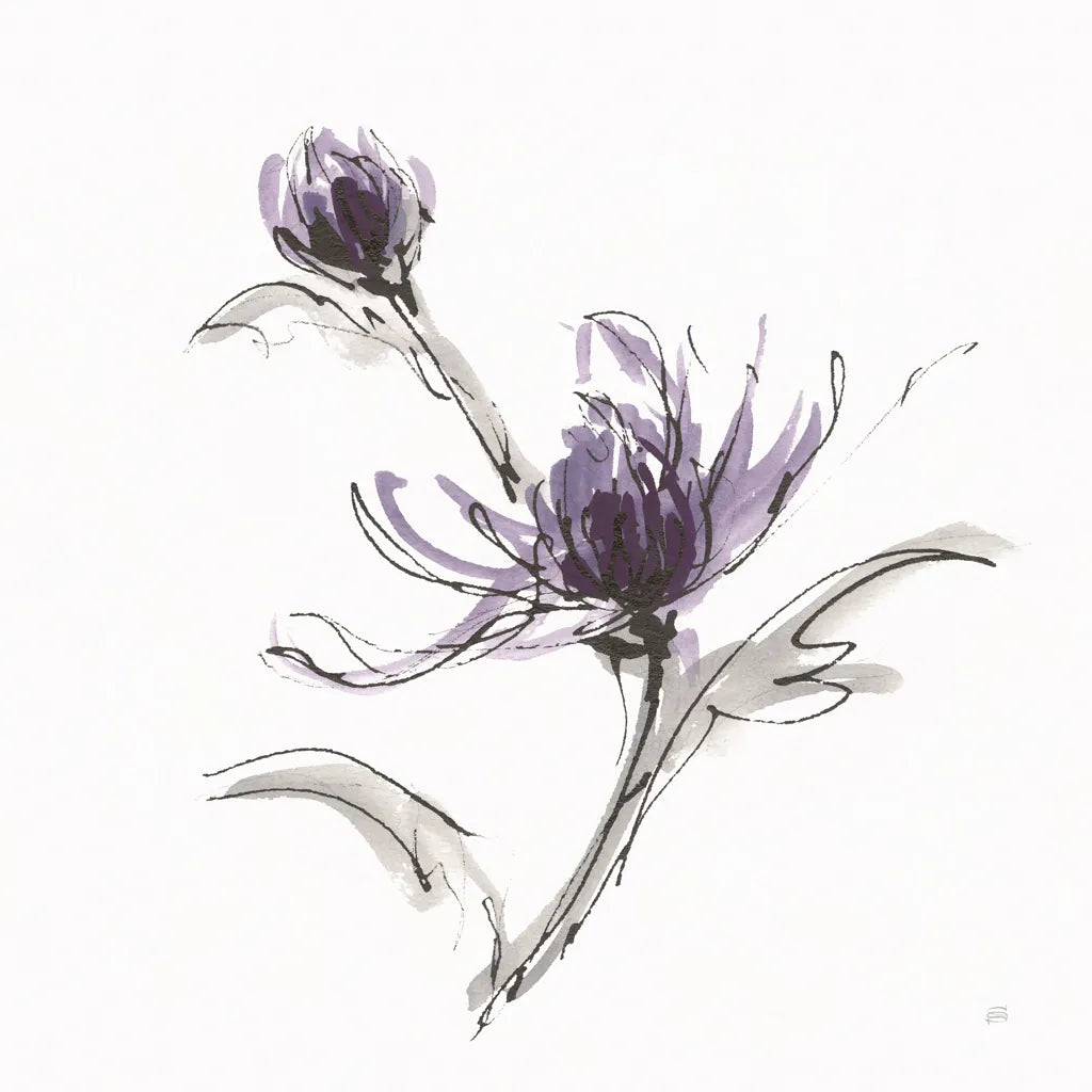 Midnight Mum IV by Chris Paschke. SKU 91437a. Archival Giclee Fine art print for wall decor.