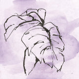 Midnight Plum Leaf I by Chris Paschke. SKU 91454a. Archival Giclee Fine art print for wall decor.