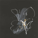 Modern Flower IV by Chris Paschke. SKU 73076a. Archival Giclee Fine art print for wall decor.