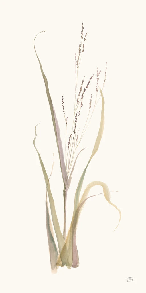 Moor Grass by Chris Paschke