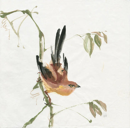Mountain Bush Warbler by Chris Paschke. SKU 23941a. Archival Giclee Fine art print for wall decor.