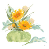Mums and Dusty Miller by Chris Paschke. SKU 81868a. Archival Giclee Fine art print for wall decor.