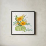 Mums and Dusty Miller by Chris Paschke. Shown in a sleek black glass frame for a contemporary gallery look. Available as an archival giclee rolled canvas, fine art paper, or poster print. SKU 81868a.