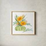 Mums and Dusty Miller by Chris Paschke. Shown in a natural wood glass frame for a timeless modern aesthetic. Available as an archival giclee rolled canvas, fine art paper, or poster print. SKU 81868a.