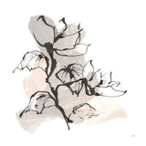 Neutral Magnolia II by Chris Paschke. SKU 85766a. Archival Giclee Fine art print for wall decor.