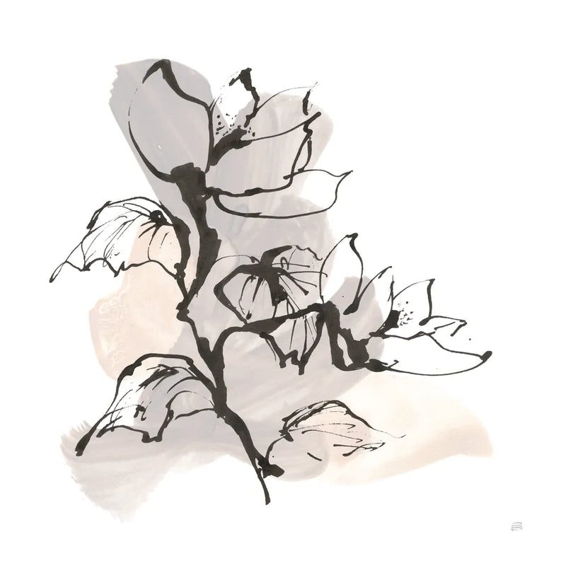 Neutral Magnolia II by Chris Paschke. SKU 85766a. Archival Giclee Fine art print for wall decor.