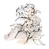 Neutral Peony I by Chris Paschke. SKU 85767a. Archival Giclee Fine art print for wall decor.