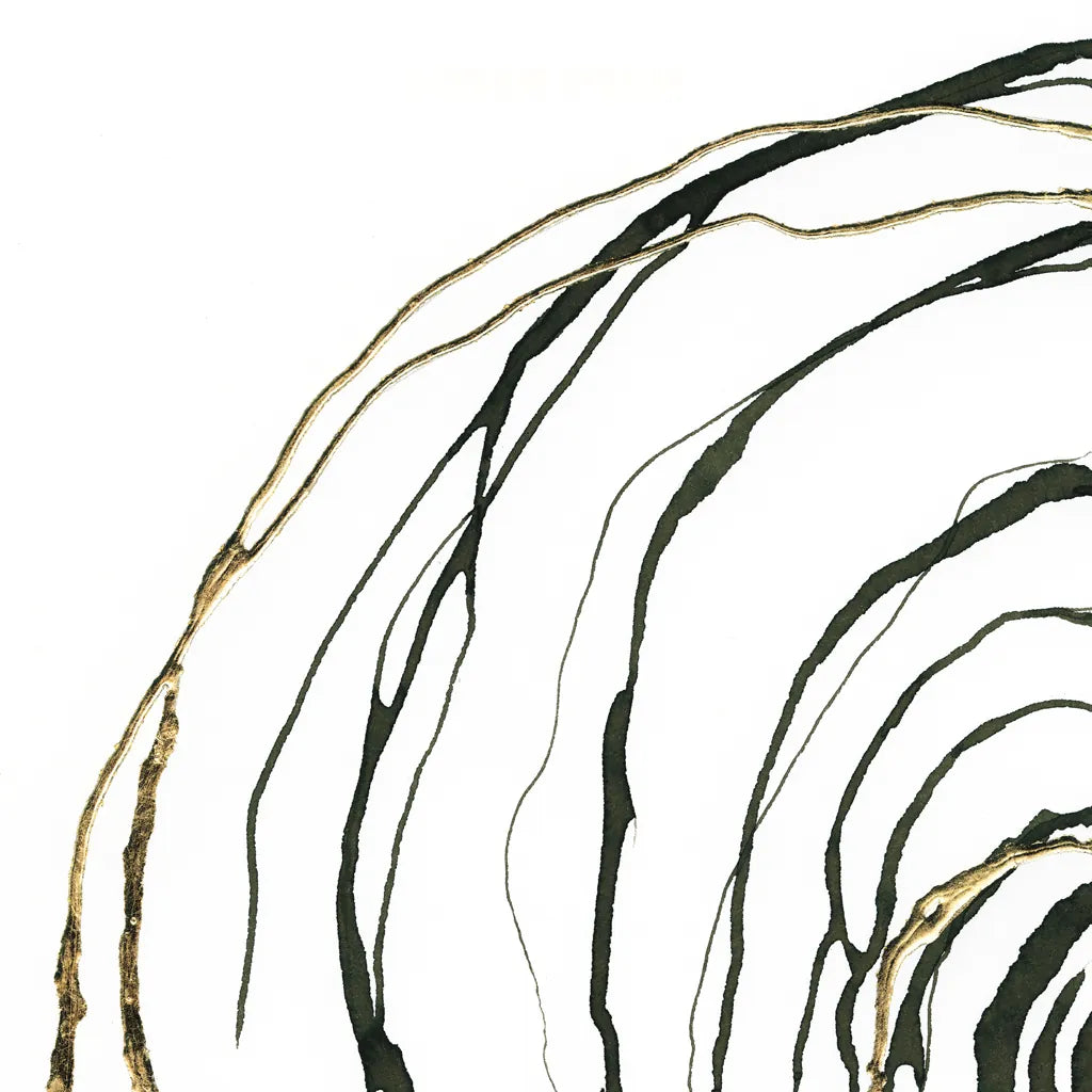 Not Quite Concentric I by Chris Paschke. SKU 77819a. Archival Giclee Fine art print for wall decor.