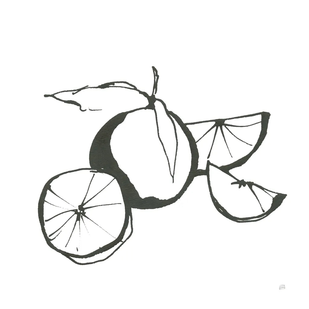 Oranges BW by Chris Paschke. SKU 64218a. Archival Giclee Fine art print for wall decor.