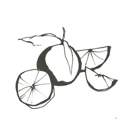 Oranges BW by Chris Paschke. SKU 64218a. Archival Giclee Fine art print for wall decor.