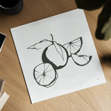 Oranges BW by Chris Paschke. Shown as a detailed flat fine art print, highlighting archival giclee quality. Available as an archival giclee rolled canvas, fine art paper, or poster print. SKU 64218a.