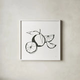 Oranges BW by Chris Paschke. Shown in a crisp white glass frame for a clean and minimalist style. Available as an archival giclee rolled canvas, fine art paper, or poster print. SKU 64218a.