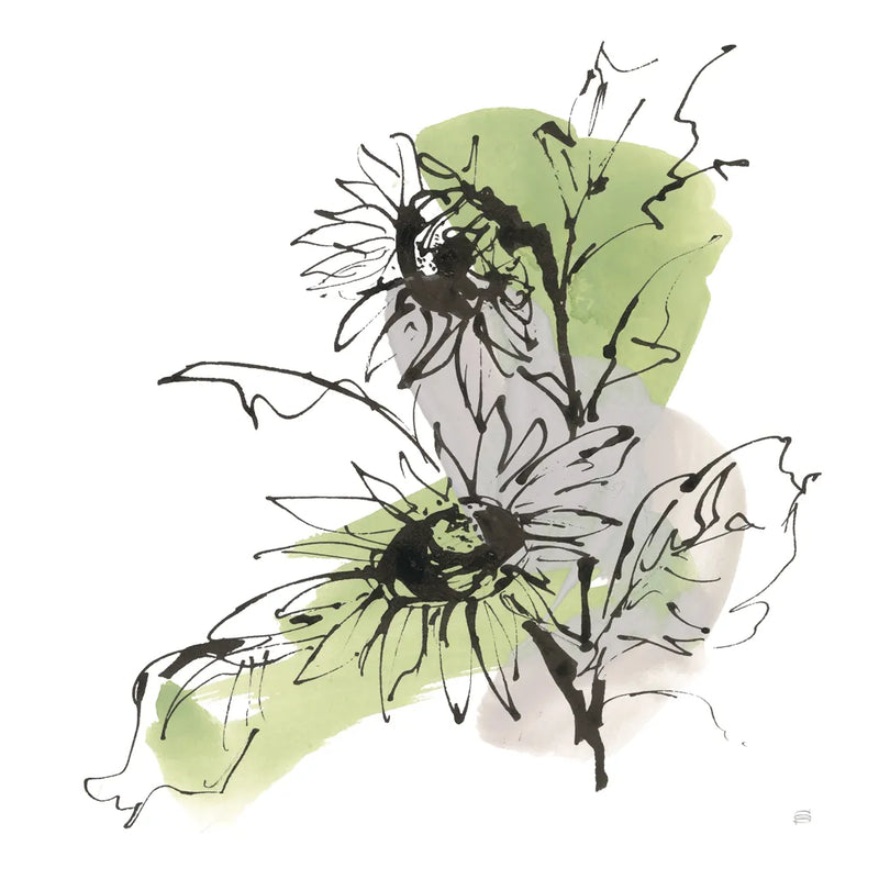 Organic Sunflower I by Chris Paschke. SKU 85773a. Archival Giclee Fine art print for wall decor.