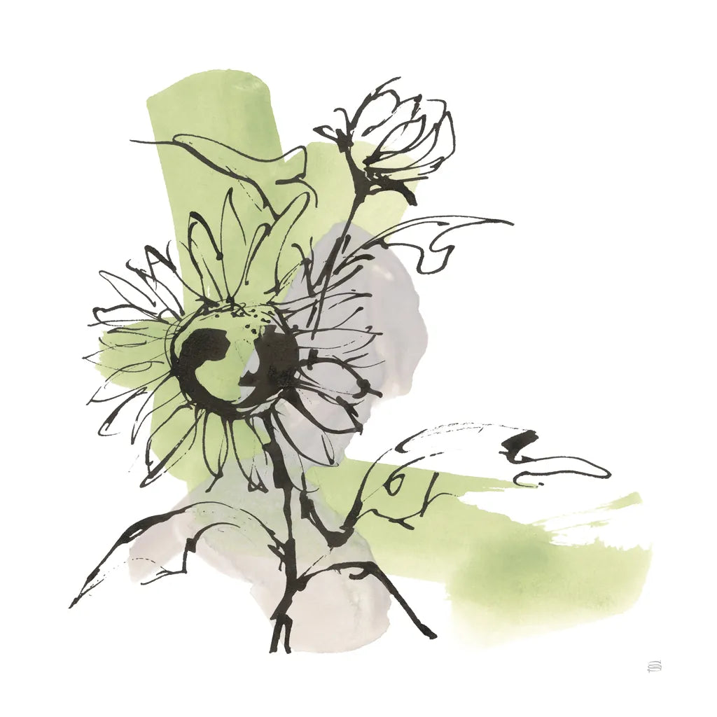 Organic Sunflower II by Chris Paschke. SKU 85774a. Archival Giclee Fine art print for wall decor.