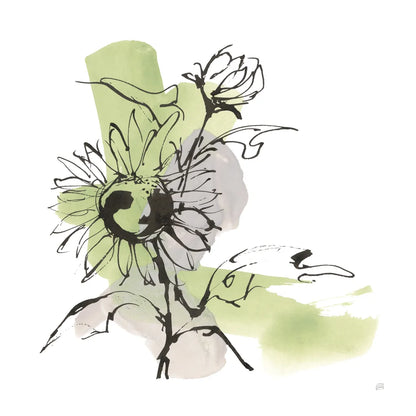 Organic Sunflower II by Chris Paschke. SKU 85774a. Archival Giclee Fine art print for wall decor.