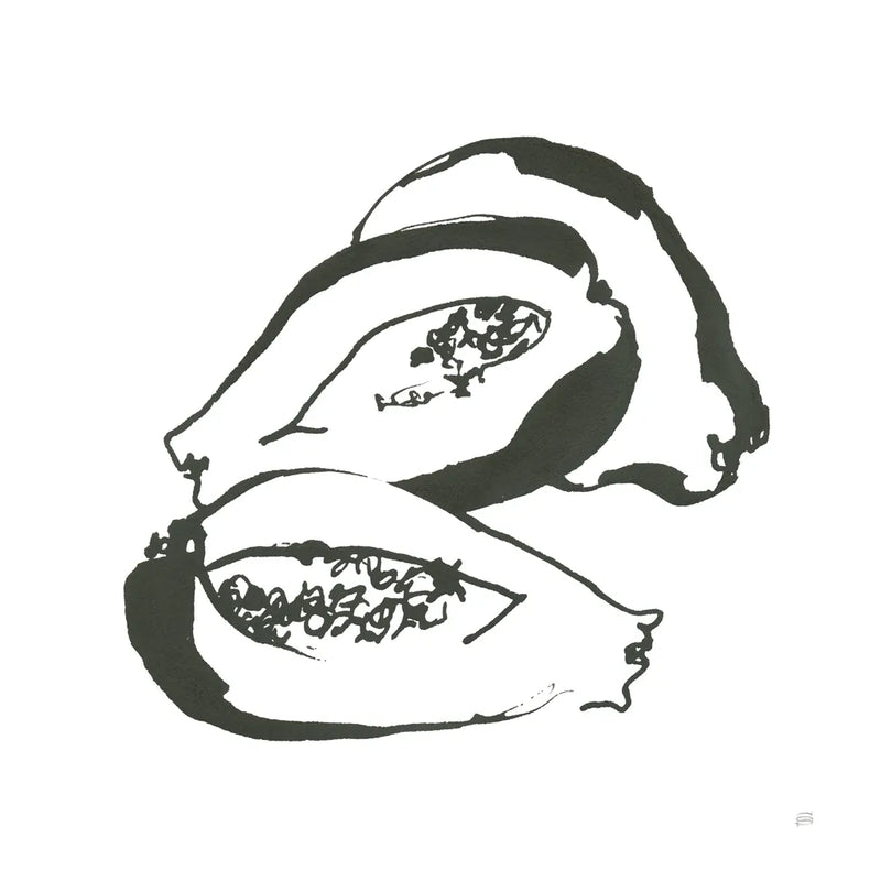 Papaya BW by Chris Paschke. SKU 64219a. Archival Giclee Fine art print for wall decor.