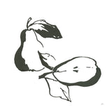 Pears BW by Chris Paschke. SKU 64220a. Archival Giclee Fine art print for wall decor.