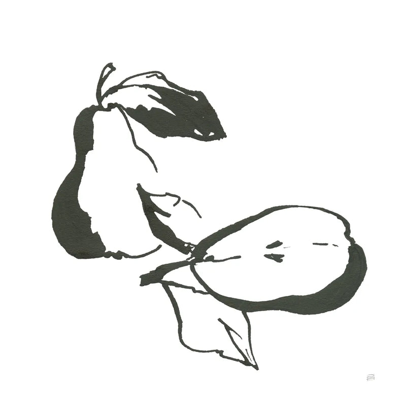 Pears BW by Chris Paschke. SKU 64220a. Archival Giclee Fine art print for wall decor.
