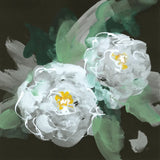 Peonies on Black I by Chris Paschke. SKU 80807a. Archival Giclee Fine art print for wall decor.