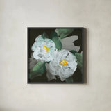Peonies on Black II by Chris Paschke. Shown in a sleek black glass frame for a contemporary gallery look. Available as an archival giclee rolled canvas, fine art paper, or poster print. SKU 80808a.