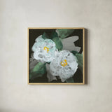 Peonies on Black II by Chris Paschke. Shown in a natural wood glass frame for a timeless modern aesthetic. Available as an archival giclee rolled canvas, fine art paper, or poster print. SKU 80808a.