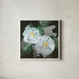 Peonies on Black II by Chris Paschke. Shown in a crisp white glass frame for a clean and minimalist style. Available as an archival giclee rolled canvas, fine art paper, or poster print. SKU 80808a.
