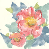 Peony in the Pink II by Chris Paschke. SKU 48039a. Archival Giclee Fine art print for wall decor.