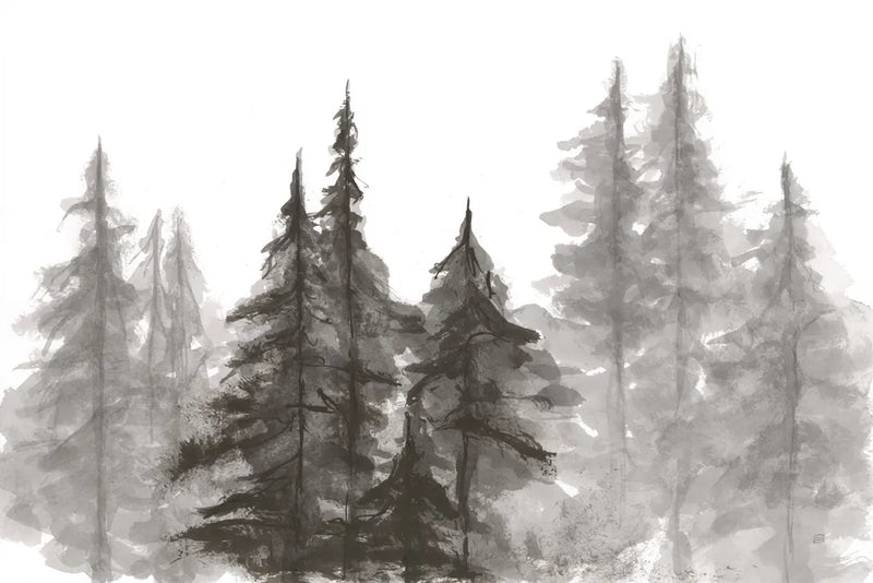 Pinescape VI by Chris Paschke. SKU 84640i. Archival Giclee Fine art print for wall decor.