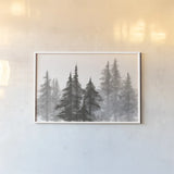 Pinescape VI by Chris Paschke. shown as a paper print in a white frame. Available as a archival giclee rolled canvas, fine art paper, or poster print. SKU 84640i.
