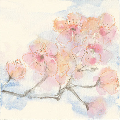 Pink Blossoms III by Chris Paschke. SKU 21594a. Archival Giclee Fine art print for wall decor.