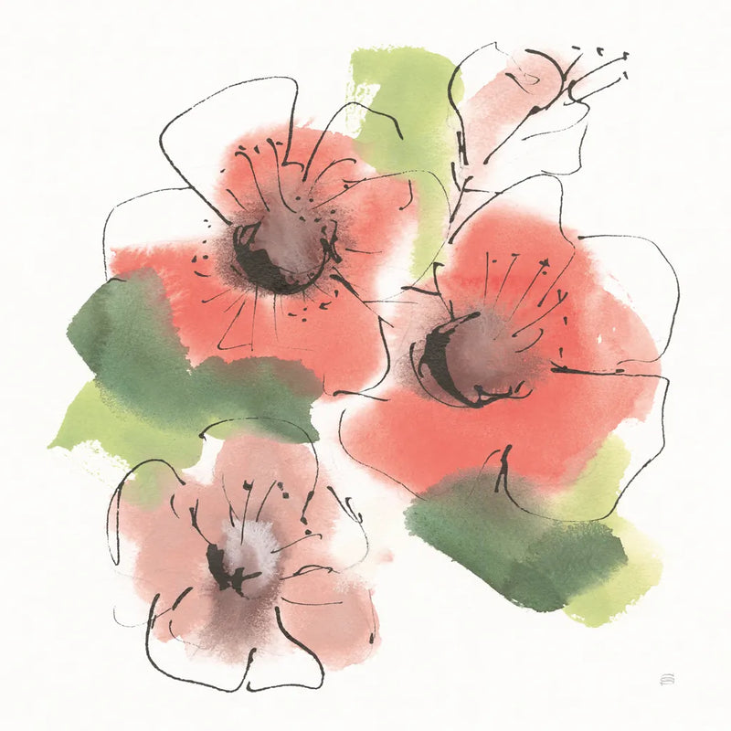 Pink Coral Poppies IV by Chris Paschke. SKU 91453a. Archival Giclee Fine art print for wall decor.