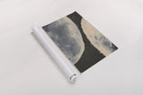Planetary III by Chris Paschke. shown as a rolled paper print. Available as archival giclee rolled canvas, fine art paper, or poster print. SKU 83793h.
