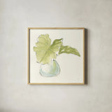 Plant Big Leaf I by Chris Paschke. Shown in a natural wood glass frame for a timeless modern aesthetic. Available as an archival giclee rolled canvas, fine art paper, or poster print. SKU 55026a.