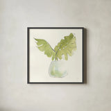 Plant Big Leaf II by Chris Paschke. Shown in a sleek black glass frame for a contemporary gallery look. Available as an archival giclee rolled canvas, fine art paper, or poster print. SKU 55027a.