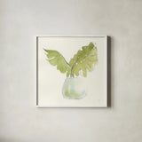 Plant Big Leaf II by Chris Paschke. Shown in a crisp white glass frame for a clean and minimalist style. Available as an archival giclee rolled canvas, fine art paper, or poster print. SKU 55027a.