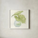 Plant Big Leaf III by Chris Paschke. Shown in a crisp white glass frame for a clean and minimalist style. Available as an archival giclee rolled canvas, fine art paper, or poster print. SKU 55028a.
